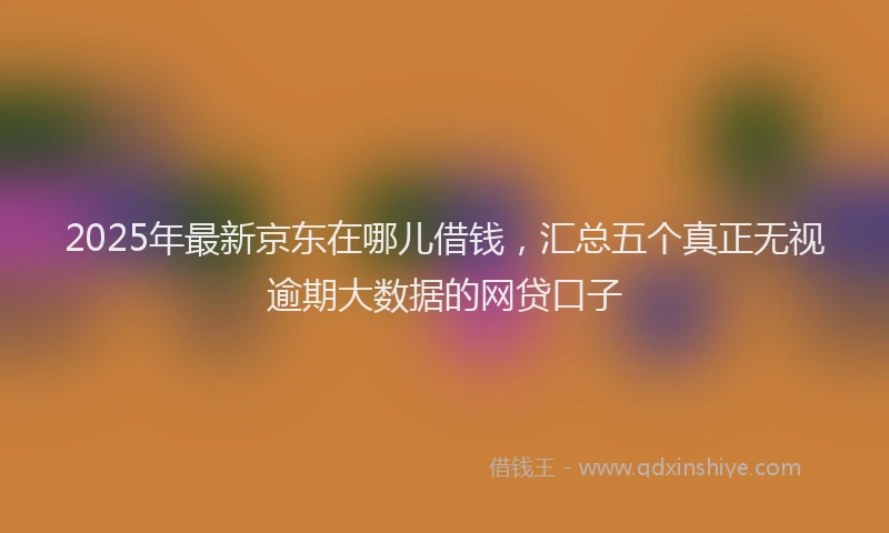 2025年最新京东在哪儿借钱，汇总五个真正无视逾期大数据的网贷口子