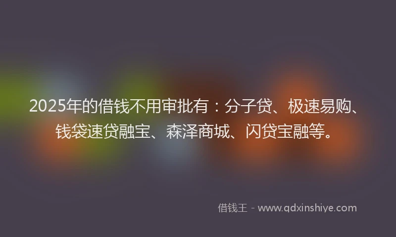 2025年的借钱不用审批有：分子贷、极速易购、钱袋速贷融宝、森泽商城、闪贷宝融等。
