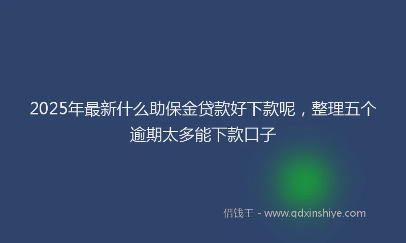 2025年最新什么助保金贷款好下款呢，整理五个逾期太多能下款口子