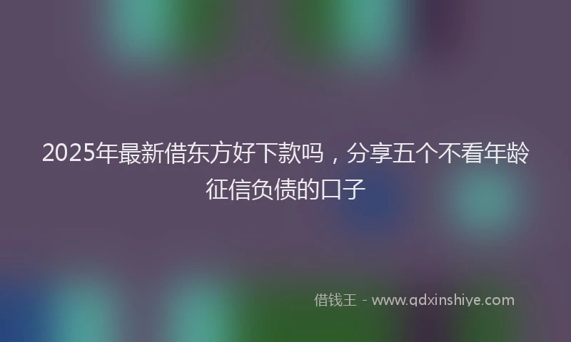 2025年最新借东方好下款吗，分享五个不看年龄征信负债的口子