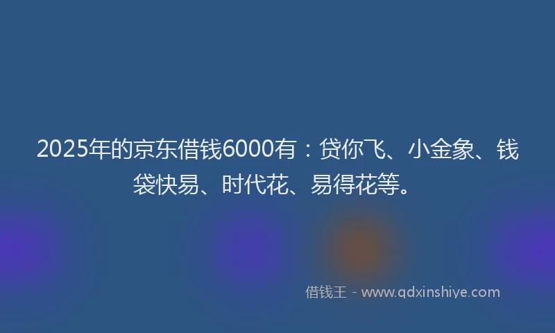 2025年的京东借钱6000有：贷你飞、小金象、钱袋快易、时代花、易得花等。