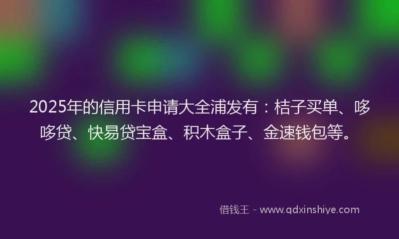 2025年的信用卡申请大全浦发有：桔子买单、哆哆贷、快易贷宝盒、积木盒子、金速钱包等。