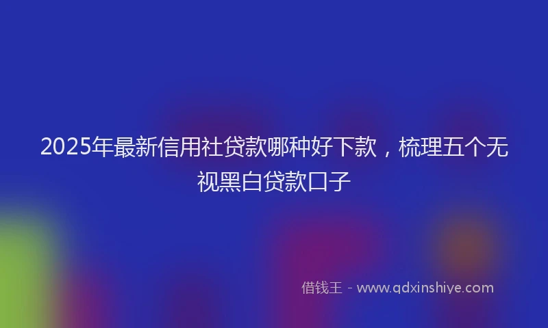 2025年最新信用社贷款哪种好下款，梳理五个无视黑白贷款口子