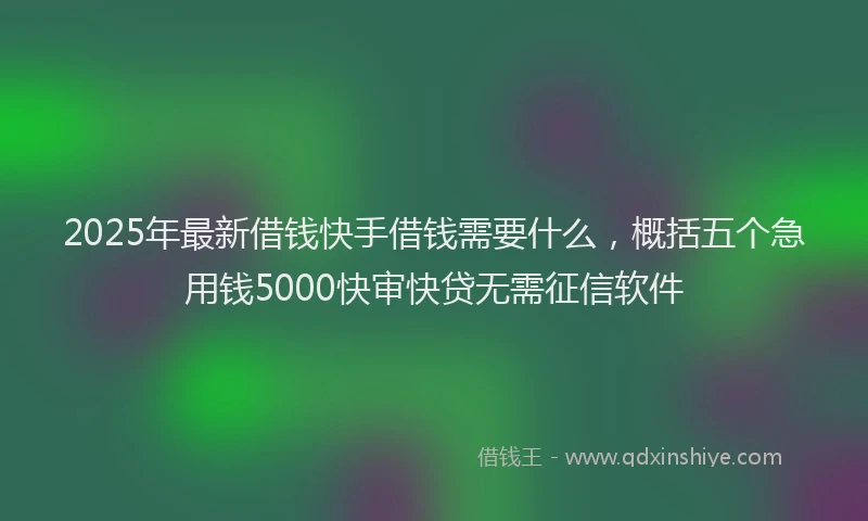 2025年最新借钱快手借钱需要什么，概括五个急用钱5000快审快贷无需征信软件
