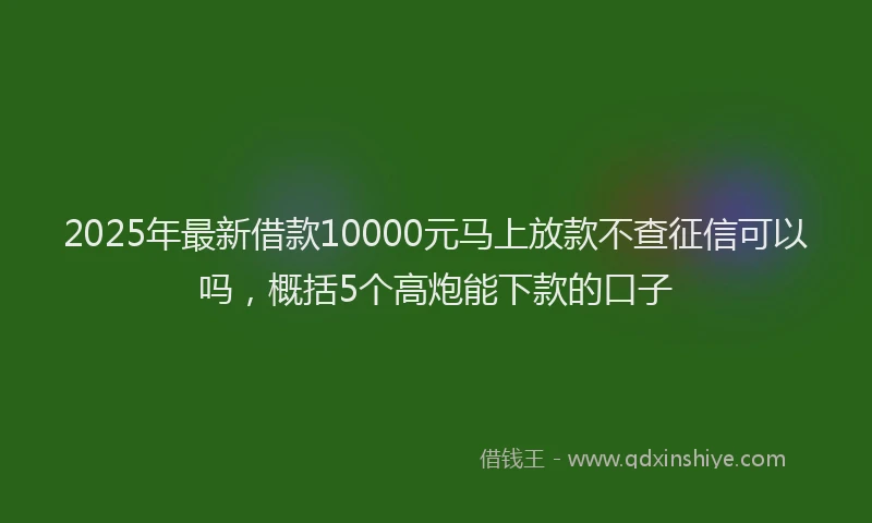 2025年最新借款10000元马上放款不查征信可以吗，概括5个高炮能下款的口子