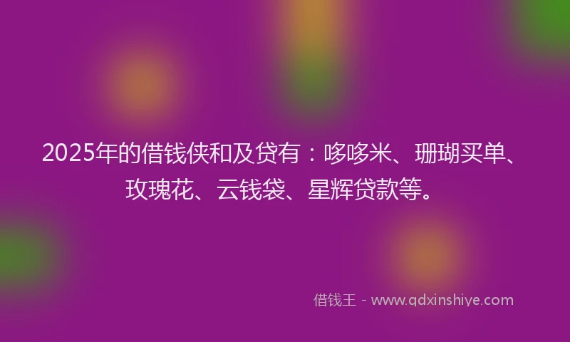 2025年的借钱侠和及贷有：哆哆米、珊瑚买单、玫瑰花、云钱袋、星辉贷款等。