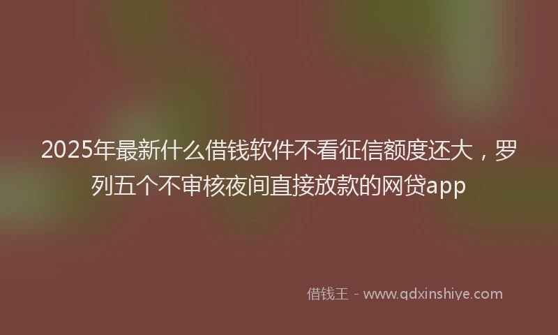 2025年最新什么借钱软件不看征信额度还大，罗列五个不审核夜间直接放款的网贷app