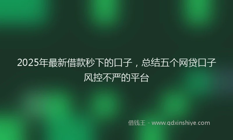 2025年最新借款秒下的口子，总结五个网贷口子风控不严的平台