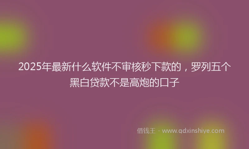 2025年最新什么软件不审核秒下款的，罗列五个黑白贷款不是高炮的口子