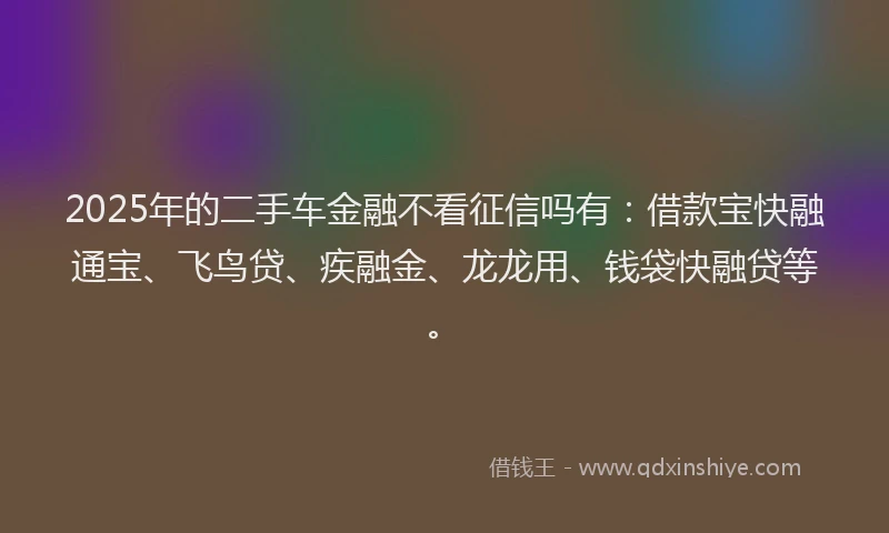 2025年的二手车金融不看征信吗有：借款宝快融通宝、飞鸟贷、疾融金、龙龙用、钱袋快融贷等。