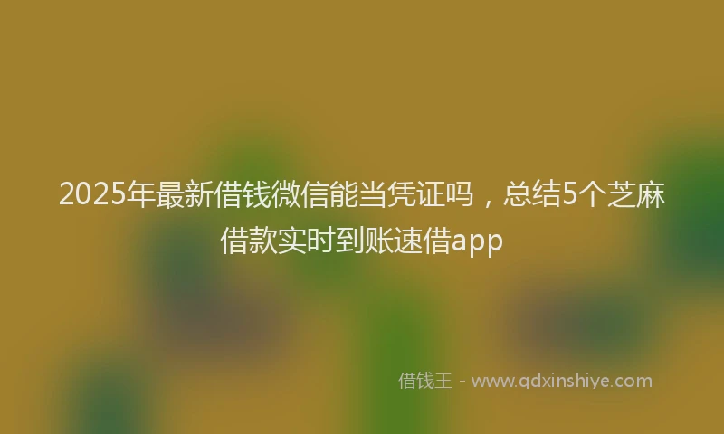 2025年最新借钱微信能当凭证吗，总结5个芝麻借款实时到账速借app