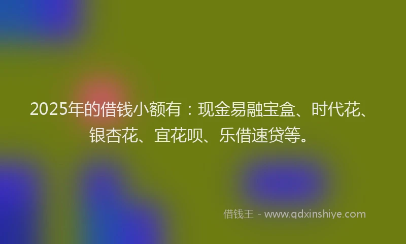 2025年的借钱小额有：现金易融宝盒、时代花、银杏花、宜花呗、乐借速贷等。