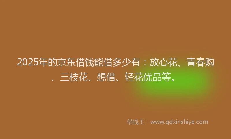 2025年的京东借钱能借多少有：放心花、青春购、三枝花、想借、轻花优品等。