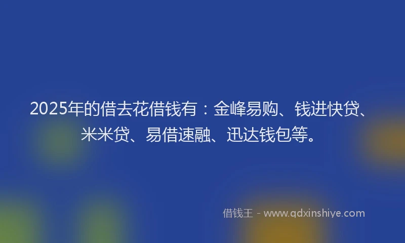 2025年的借去花借钱有：金峰易购、钱进快贷、米米贷、易借速融、迅达钱包等。