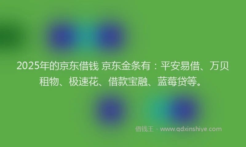 2025年的京东借钱 京东金条有：平安易借、万贝租物、极速花、借款宝融、蓝莓贷等。
