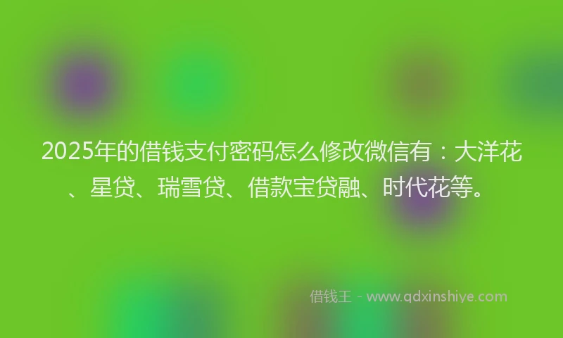2025年的借钱支付密码怎么修改微信有：大洋花、星贷、瑞雪贷、借款宝贷融、时代花等。