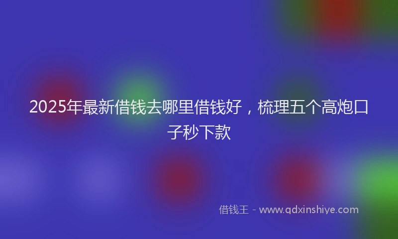 2025年最新借钱去哪里借钱好，梳理五个高炮口子秒下款