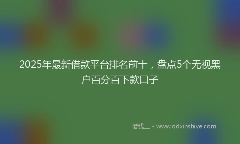 2025年最新借款平台排名前十，盘点5个无视黑户百分百下款口子