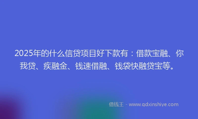 2025年的什么信贷项目好下款有：借款宝融、你我贷、疾融金、钱速借融、钱袋快融贷宝等。