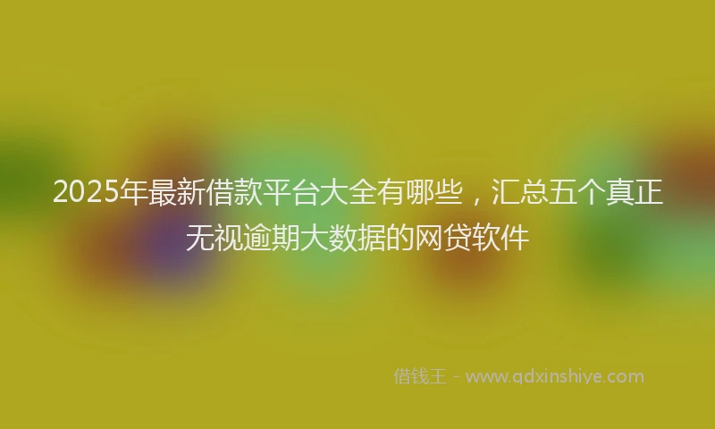 2025年最新借款平台大全有哪些，汇总五个真正无视逾期大数据的网贷软件