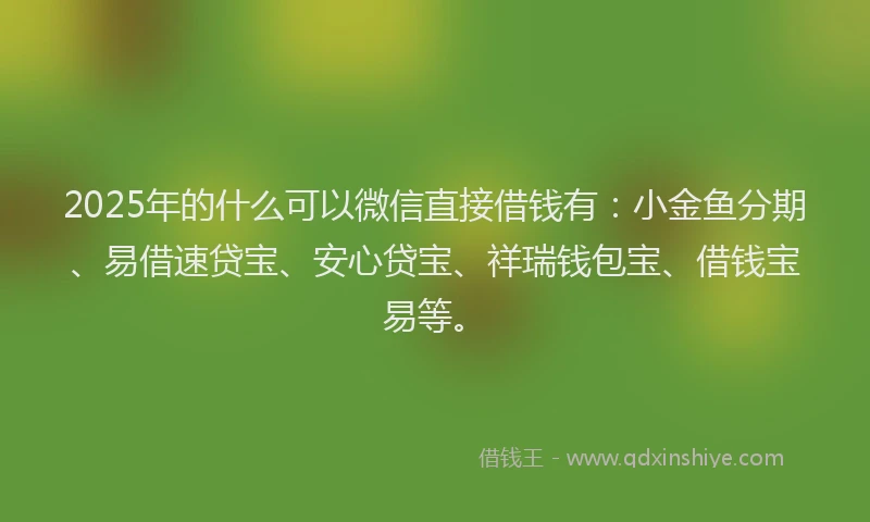 2025年的什么可以微信直接借钱有：小金鱼分期、易借速贷宝、安心贷宝、祥瑞钱包宝、借钱宝易等。