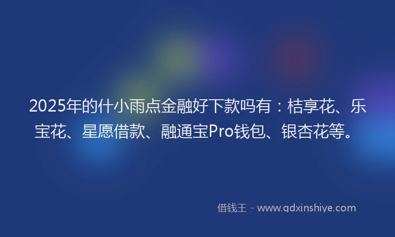 2025年的什小雨点金融好下款吗有：桔享花、乐宝花、星愿借款、融通宝Pro钱包、银杏花等。