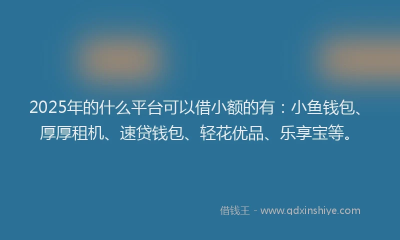 2025年的什么平台可以借小额的有：小鱼钱包、厚厚租机、速贷钱包、轻花优品、乐享宝等。