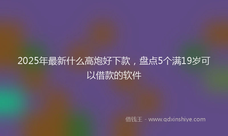 2025年最新什么高炮好下款，盘点5个满19岁可以借款的软件