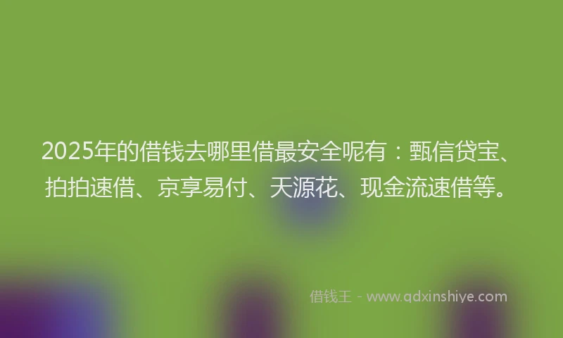 2025年的借钱去哪里借最安全呢有：甄信贷宝、拍拍速借、京享易付、天源花、现金流速借等。