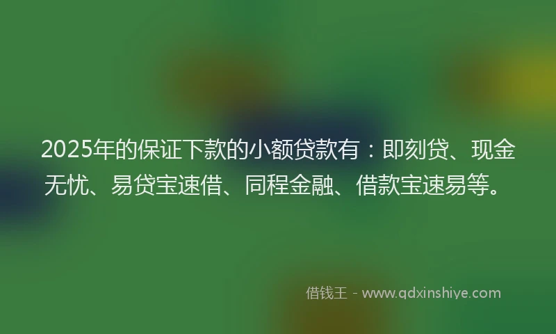 2025年的保证下款的小额贷款有：即刻贷、现金无忧、易贷宝速借、同程金融、借款宝速易等。