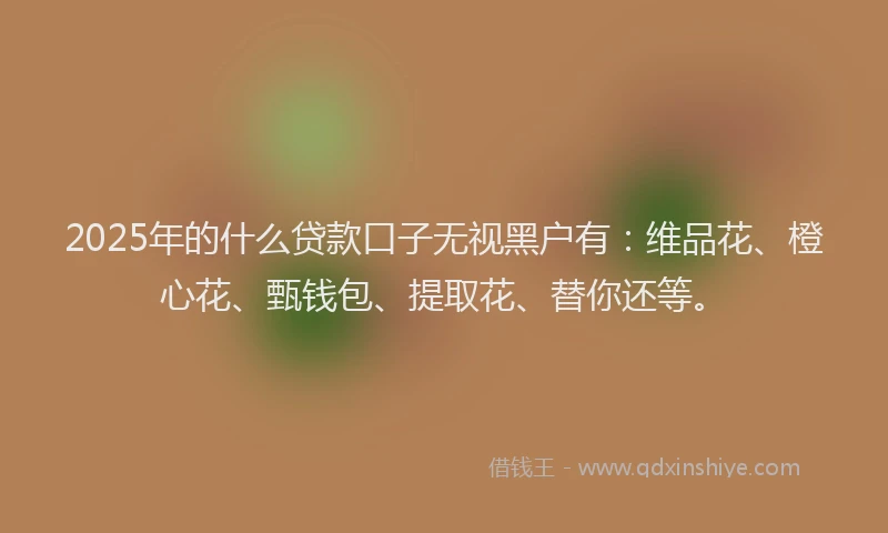 2025年的什么贷款口子无视黑户有：维品花、橙心花、甄钱包、提取花、替你还等。