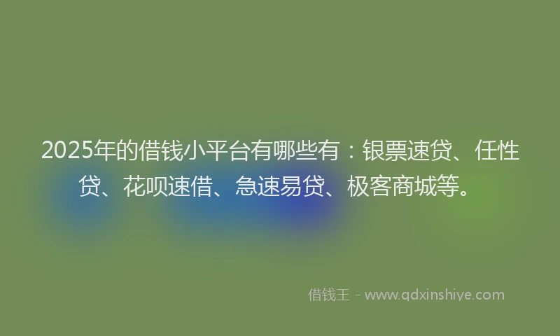 2025年的借钱小平台有哪些有：银票速贷、任性贷、花呗速借、急速易贷、极客商城等。