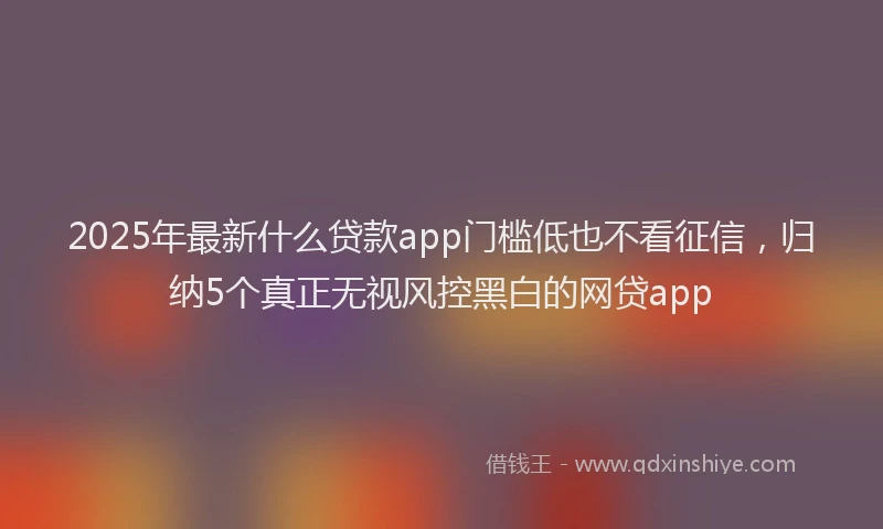 2025年最新什么贷款app门槛低也不看征信，归纳5个真正无视风控黑白的网贷app
