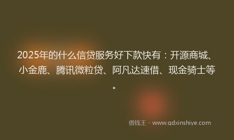 2025年的什么信贷服务好下款快有：开源商城、小金鹿、腾讯微粒贷、阿凡达速借、现金骑士等。