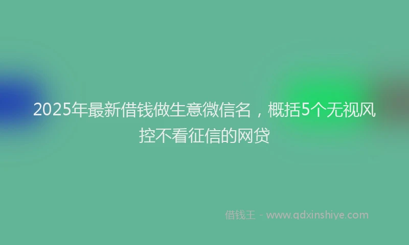 2025年最新借钱做生意微信名，概括5个无视风控不看征信的网贷
