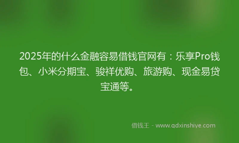 2025年的什么金融容易借钱官网有：乐享Pro钱包、小米分期宝、骏祥优购、旅游购、现金易贷宝通等。