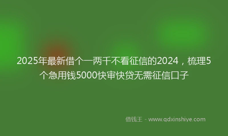 2025年最新借个一两千不看征信的2024，梳理5个急用钱5000快审快贷无需征信口子