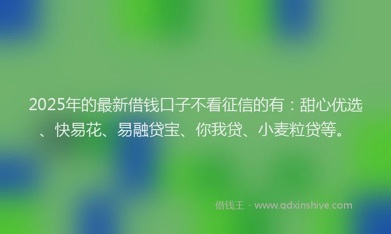 2025年的最新借钱口子不看征信的有：甜心优选、快易花、易融贷宝、你我贷、小麦粒贷等。