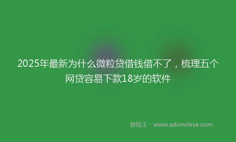 2025年最新为什么微粒贷借钱借不了，梳理五个网贷容易下款18岁的软件