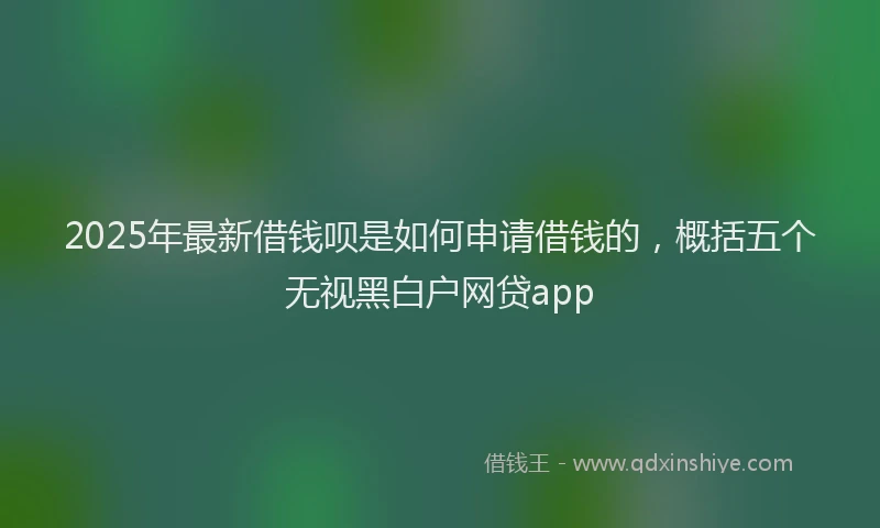 2025年最新借钱呗是如何申请借钱的，概括五个无视黑白户网贷app