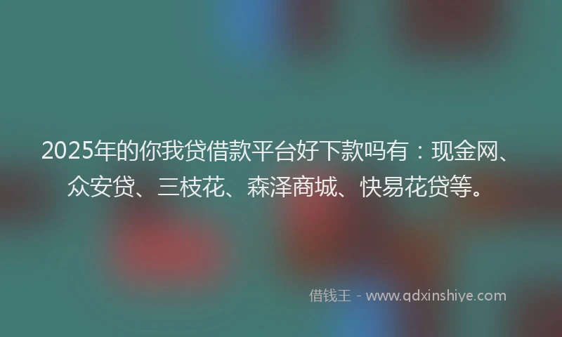 2025年的你我贷借款平台好下款吗有：现金网、众安贷、三枝花、森泽商城、快易花贷等。