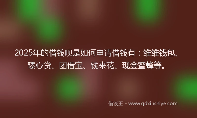 2025年的借钱呗是如何申请借钱有：维维钱包、臻心贷、团借宝、钱来花、现金蜜蜂等。