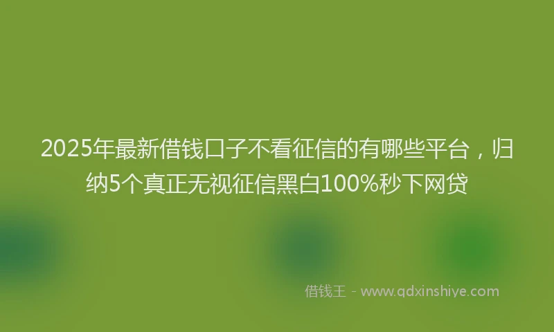 2025年最新借钱口子不看征信的有哪些平台，归纳5个真正无视征信黑白100%秒下网贷