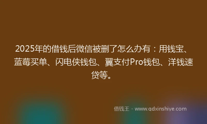 2025年的借钱后微信被删了怎么办有：用钱宝、蓝莓买单、闪电侠钱包、翼支付Pro钱包、洋钱速贷等。