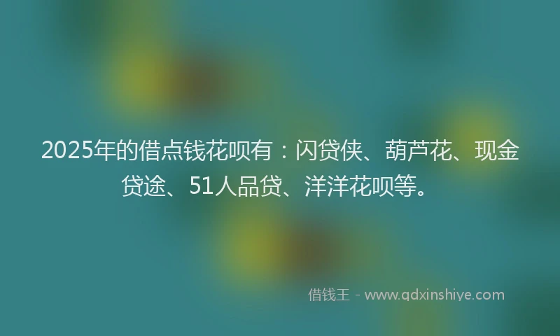 2025年的借点钱花呗有：闪贷侠、葫芦花、现金贷途、51人品贷、洋洋花呗等。