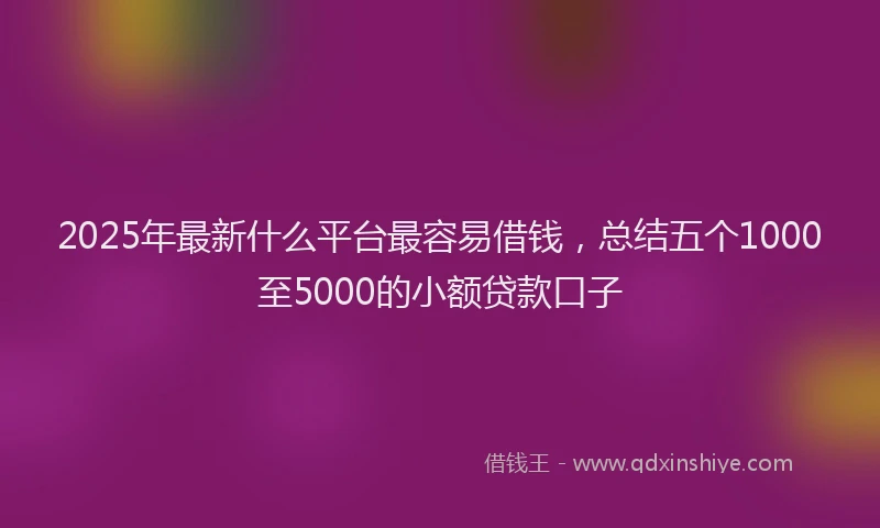 2025年最新什么平台最容易借钱，总结五个1000至5000的小额贷款口子