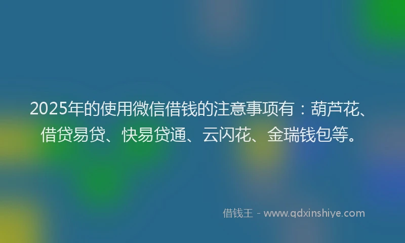 2025年的使用微信借钱的注意事项有：葫芦花、借贷易贷、快易贷通、云闪花、金瑞钱包等。