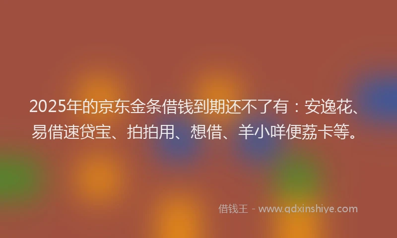 2025年的京东金条借钱到期还不了有：安逸花、易借速贷宝、拍拍用、想借、羊小咩便荔卡等。