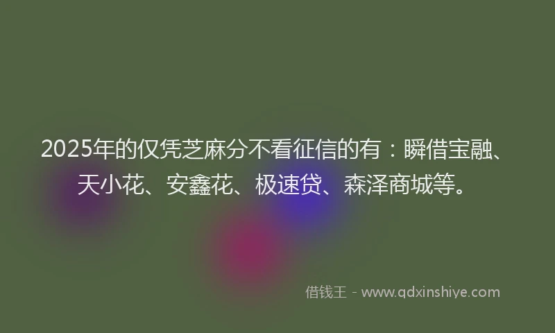 2025年的仅凭芝麻分不看征信的有：瞬借宝融、天小花、安鑫花、极速贷、森泽商城等。