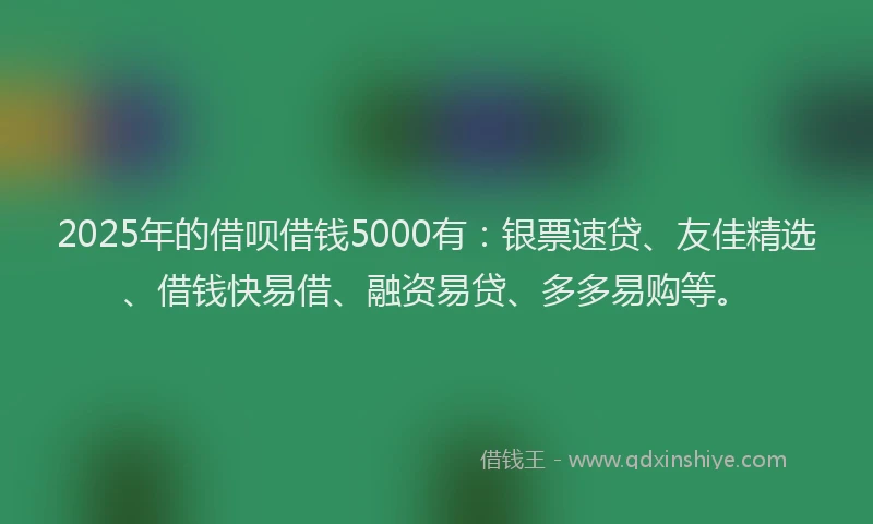 2025年的借呗借钱5000有：银票速贷、友佳精选、借钱快易借、融资易贷、多多易购等。